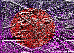 RENCONTRE FORTUITE.gif